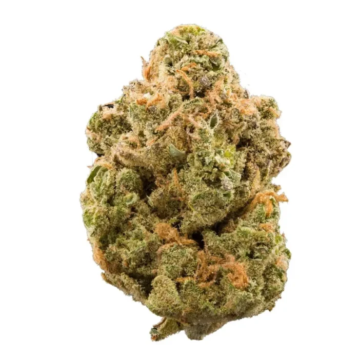 Biker Kush strain