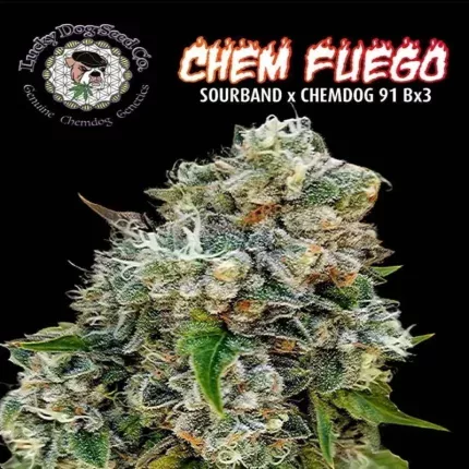 chem fuego seeds