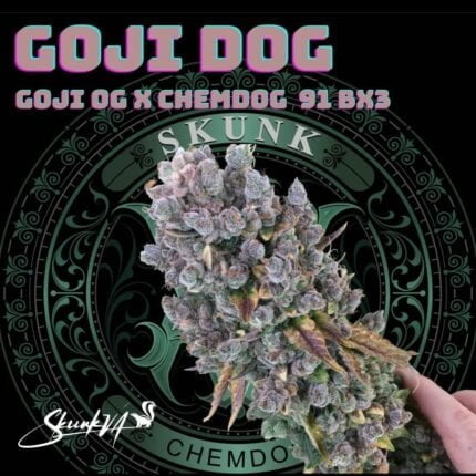 buy Goji Dog