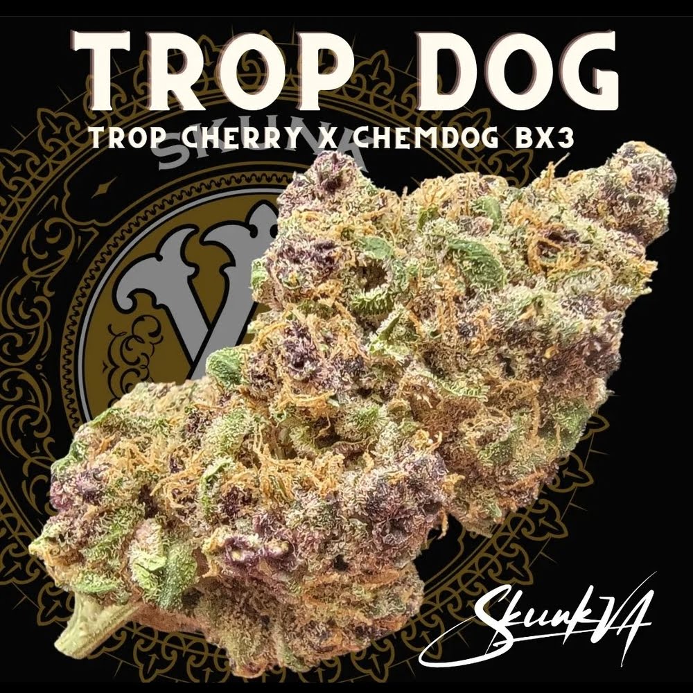 Trop Dog