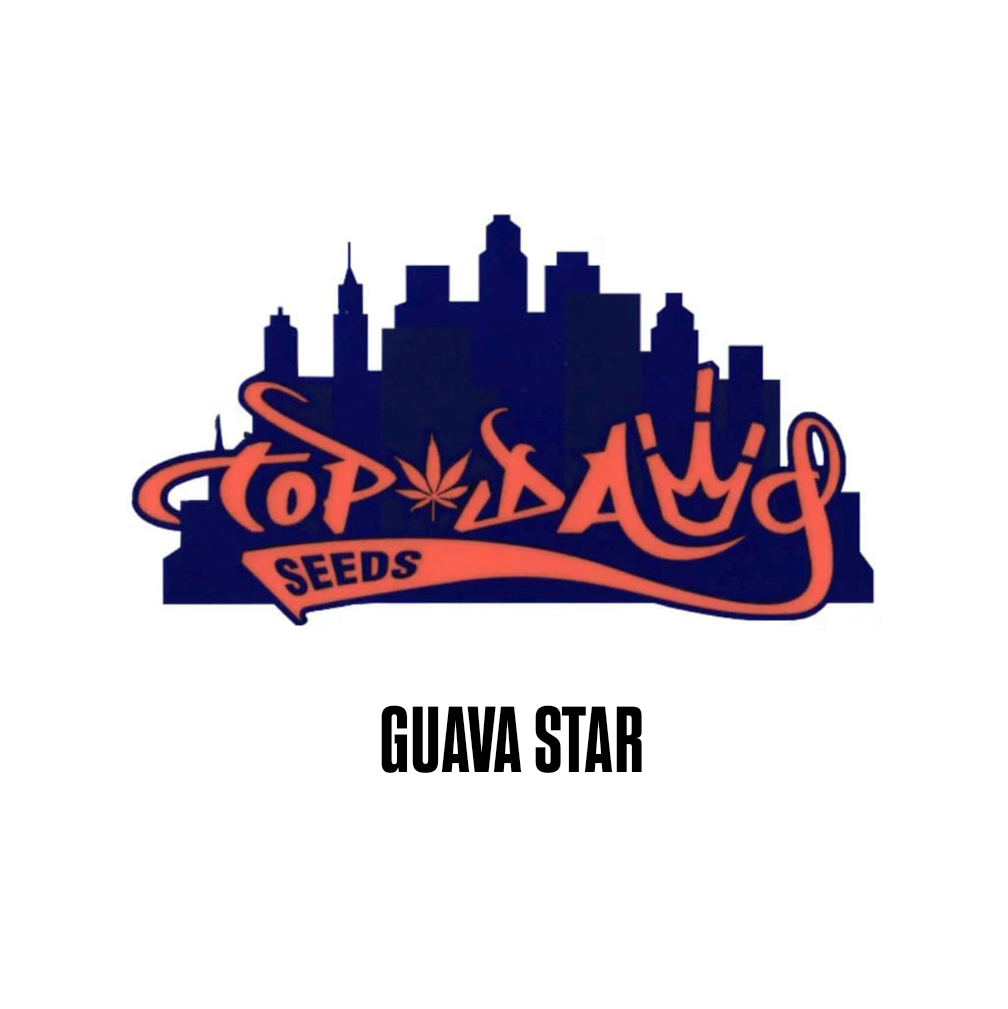 Guava Star by Top Dawg Seeds