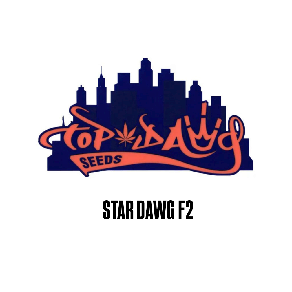 Star Dawg F2 by Top Dawg Seeds