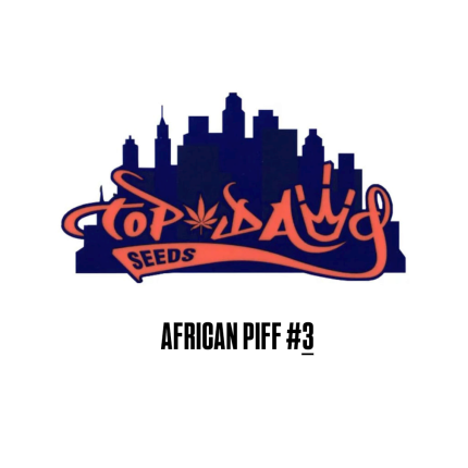 African Piff #3