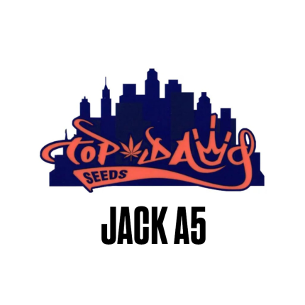 Jack A5