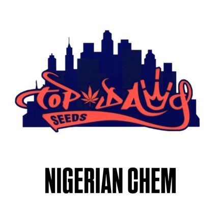 Nigerian Chem (Top Dawg Seeds) – Regular Seeds