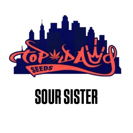 Sour Sister (Top Dawg Seeds) – Regular Seeds