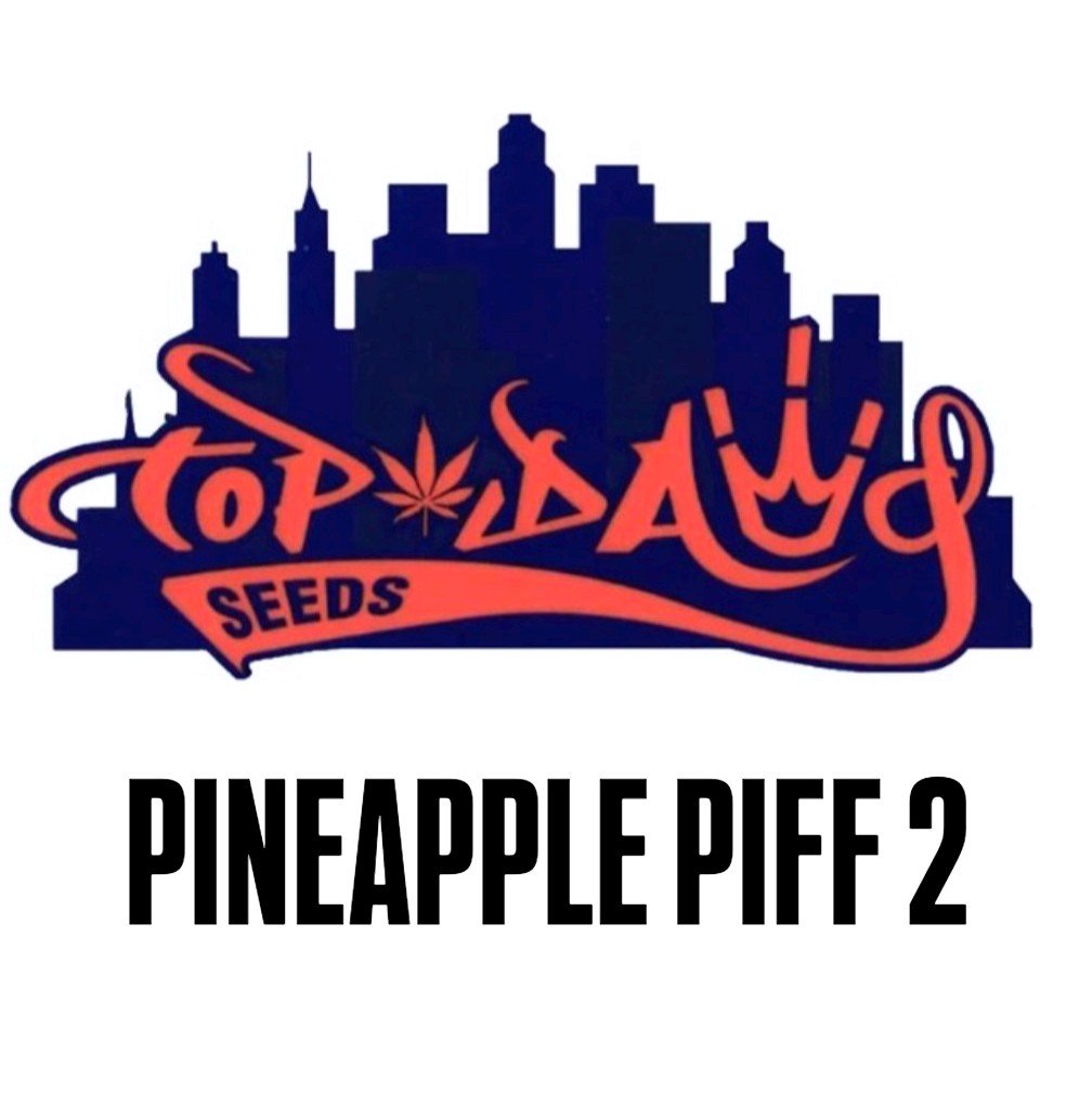 Pineapple Puff Top Dawg Seeds