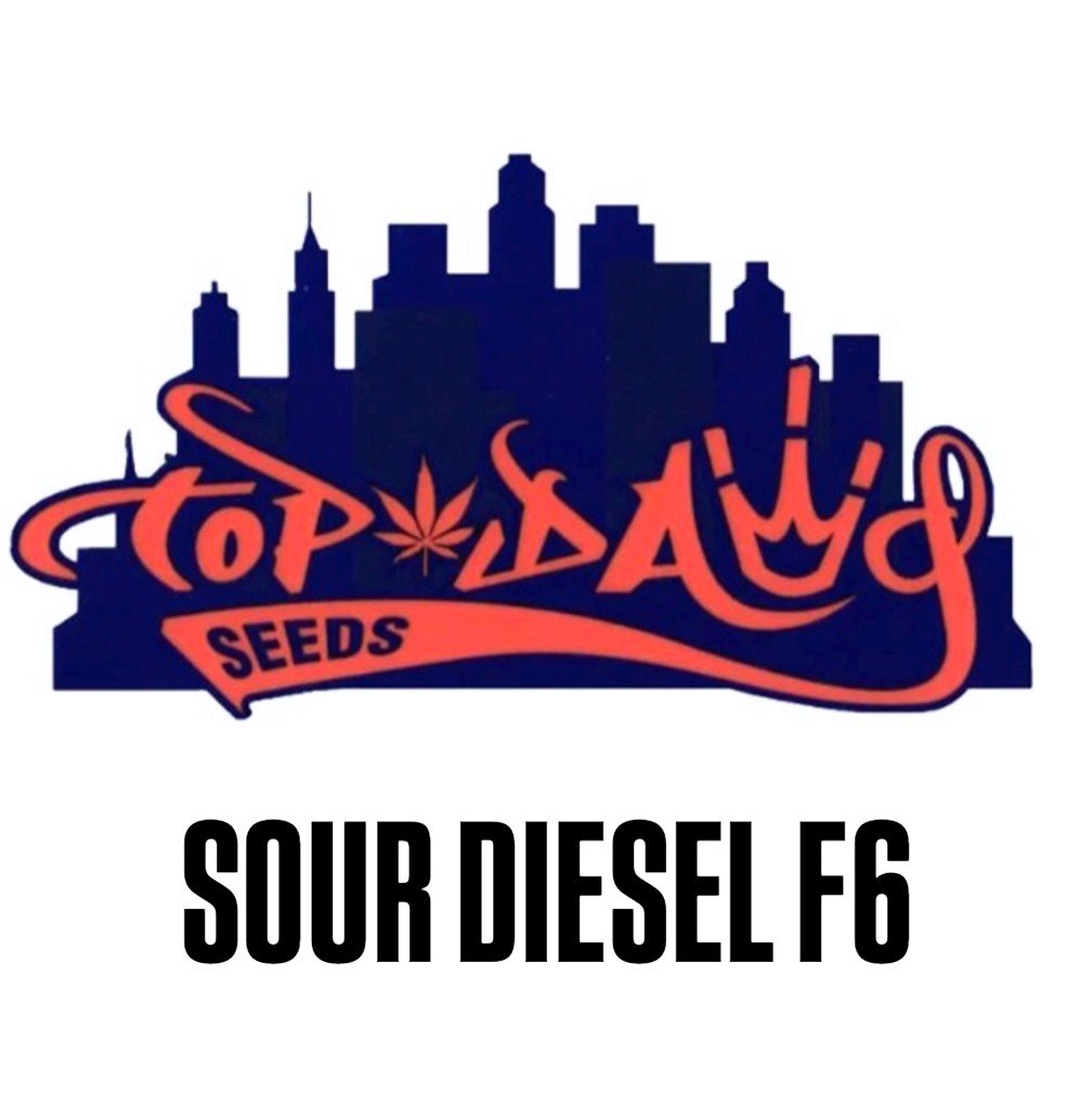 SOur Diesel F6 Top Dawg Seeds